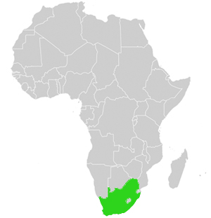 Südafrika Lage in Afrika